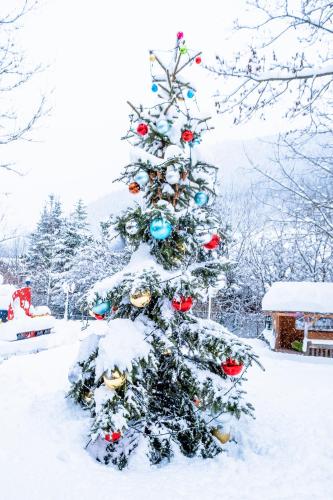 a christmas tree covered in snow in a yard at Kinderhotel Appelhof in Mürzsteg