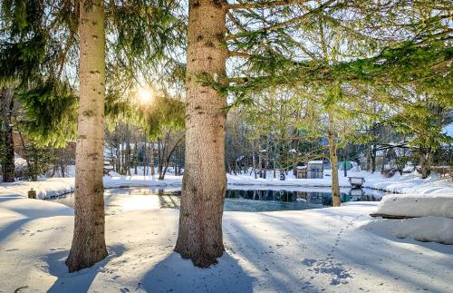 a group of trees in the snow next to a pond at Kinderhotel Appelhof in Mürzsteg