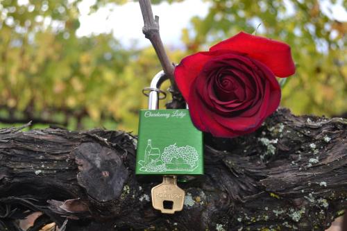Gallery image of Chardonnay Lodge in Napa