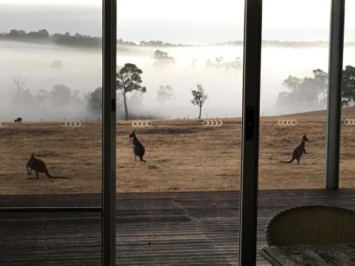 Επισκέπτες που μένουν στο Margaret River Farmhouse