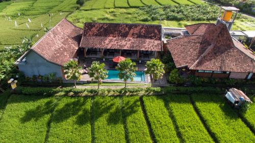 an aerial view of a house in a rice field at Kampung Canggu in Canggu