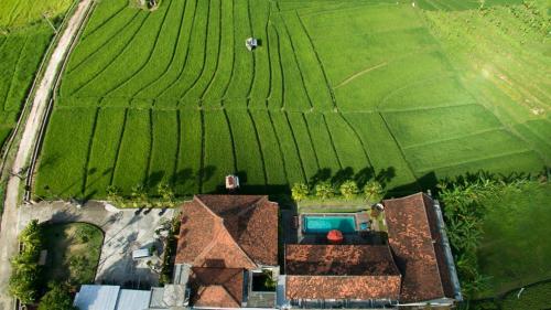 an overhead view of a house in a field at Kampung Canggu in Canggu