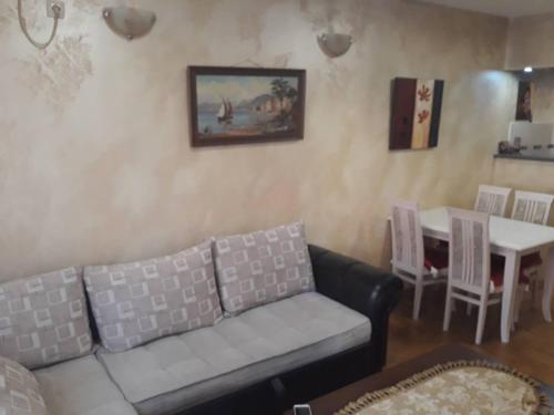 波德戈里察Rent a Conform Apartment的客厅里有一张沙发和一张桌子。