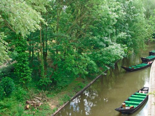 a group of boats in a river with trees at Novotel Amiens Pôle Jules Verne in Boves