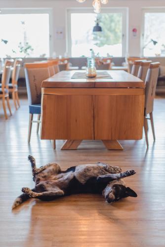 a dog laying on the floor in front of a table at ALPENHOTEL TYROL - B&B - ADULTS ONLY - Alpines Lifestyle-Konzepthotel - dog friendly in Pertisau