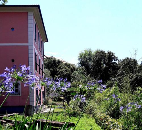 a garden with purple flowers next to a pink building at The italian riviera in San Salvatore