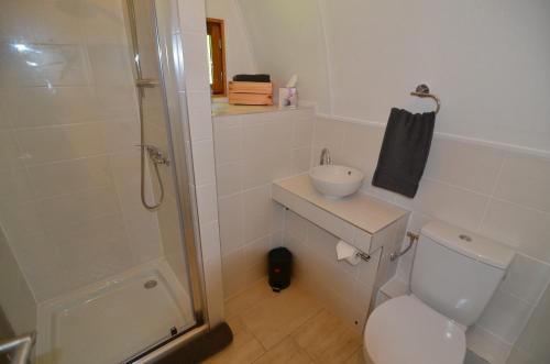a bathroom with a toilet and a sink and a shower at Chalet - Moulin du Squiriou in Berrien