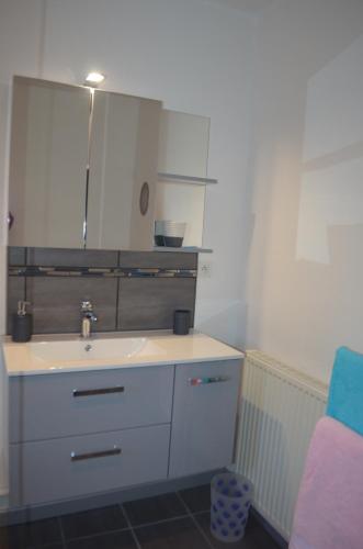 une salle de bain avec un lavabo et un miroir dans l'établissement L'Amandier, à Maury