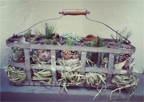 a basket filled with plants on a wall at Le Quinte del Duomo in Como
