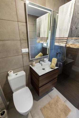 a bathroom with a toilet and a sink and a mirror at Sea Breeze II in Caniço