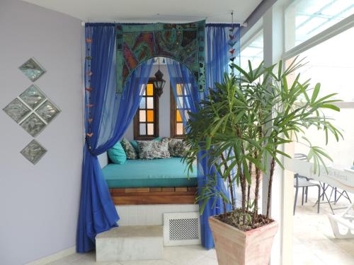 a blue couch in a room with a plant at Hotel Costa Balena-Piscina Aquecida Coberta in Guarujá