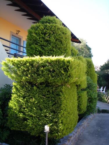 Jardín al aire libre en Hotel Dina - Ξενοδοχείο Ντινα