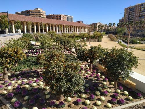 un jardín con árboles y flores frente a un edificio en Apartment in Valencia, en Valencia