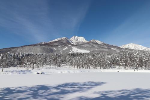 a snow covered mountain with trees in the foreground at Lime Resort Myoko in Myoko
