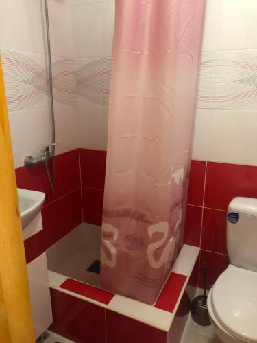 a bathroom with a shower with a toilet and a sink at Sadyba Domashniy zatyshok in Pilipets