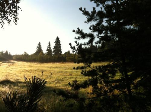 Un paisaje natural cerca de la casa vacacional