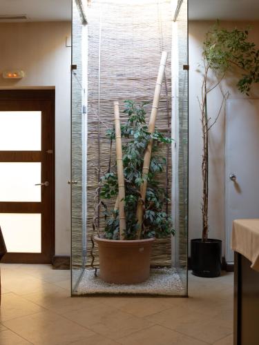 a glass display with a potted plant in a room at Hotel Villa de Barajas in Madrid