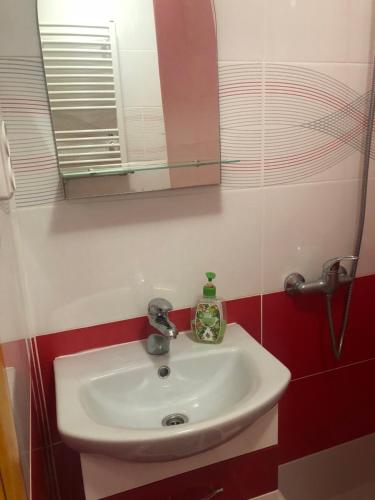 a bathroom with a sink and a mirror at Sadyba Domashniy zatyshok in Pilipets
