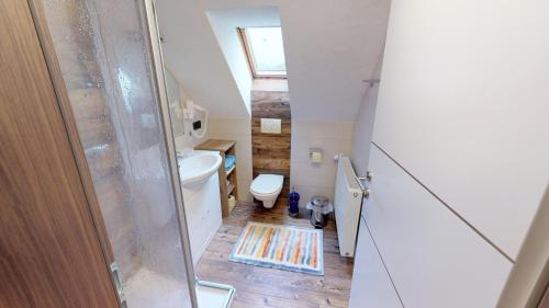 a small bathroom with a toilet and a sink at Raderhof in Feld am See