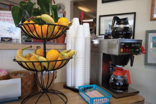 a counter with two baskets of bananas and oranges at Oceanic Motel in Ocean City