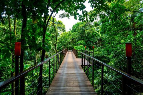 a wooden bridge in the middle of a forest at Nayara Gardens in Fortuna