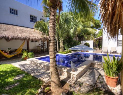 Villa Escondida Guest House Cozumel Downtown