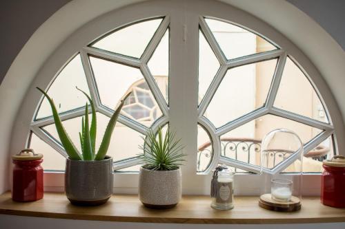 an arched window with two potted plants on a shelf at L'appartement de Margot in Bordeaux
