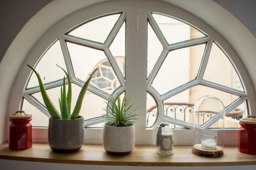 ボルドーにあるL'appartement de Margotの鉢植え2本の棚のアーチ型窓