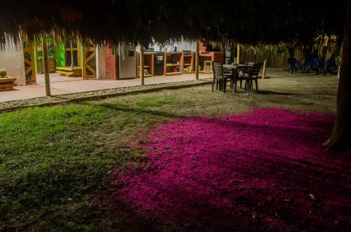 Zahrada ubytování Hostal Corazón de Tagua