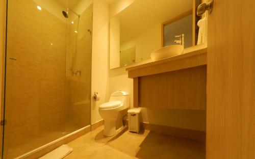 a bathroom with a toilet and a shower and a sink at Hotel Tayrona del Mar in Santa Marta
