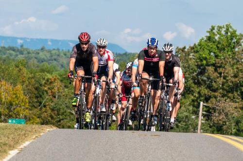 Gallery image of Hotel Domestique in Riverview