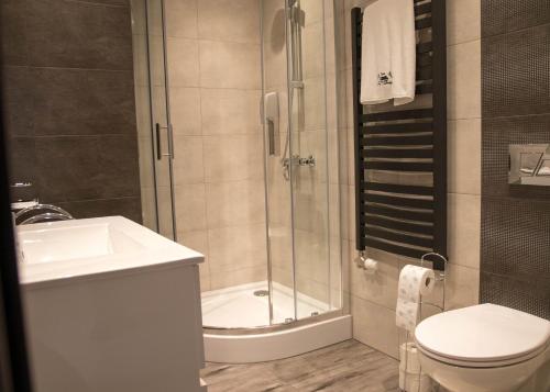 a bathroom with a shower and a toilet and a sink at Dwór Pan Tadeusz in Orawka