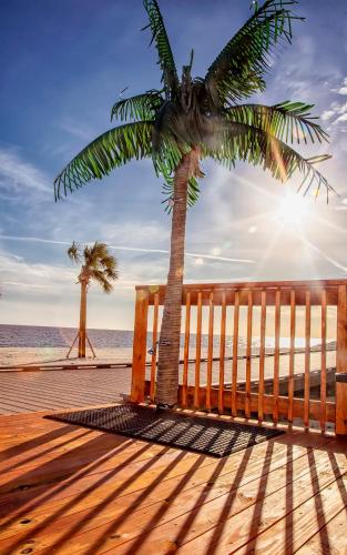 a palm tree next to a wooden fence on the beach at South Beach Biloxi Hotel & Suites in Biloxi
