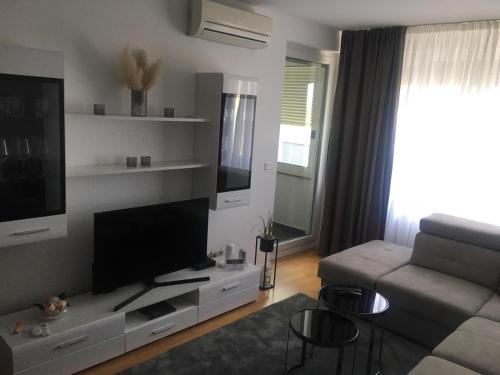 Μια τηλεόραση ή/και κέντρο ψυχαγωγίας στο Apartment Queen