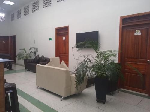 a lobby with a white couch and a potted plant at Hotel Cafetto in Pereira