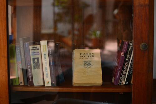 Perpustakaan di rumah tamu ini