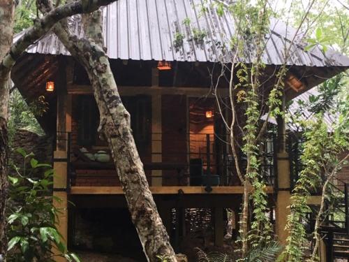 una casa en el árbol en medio del bosque en Rambas Reserve, en Avissawella