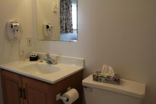 a bathroom with a sink and a toilet and a mirror at Cabot Trail Motel in Baddeck