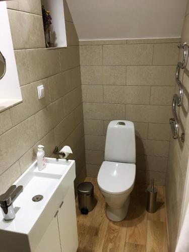 a bathroom with a toilet and a sink at Excelent apartment with garden and free parking in Rīga