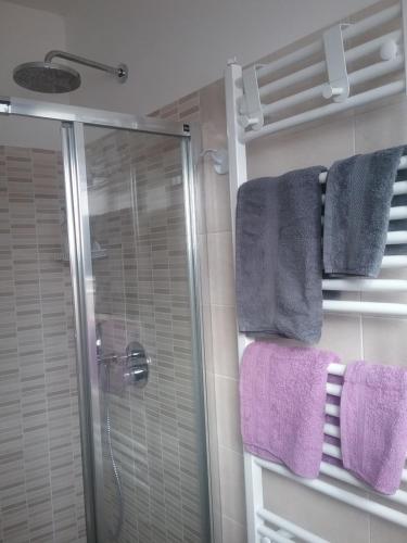 a bathroom with a glass shower and purple towels at I TRE NOCI in Castel di Sangro