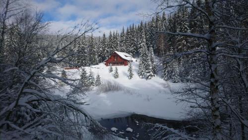 a cabin in the middle of a snow covered forest at Jezírko lesní restaurant & penzion in Jáchymov