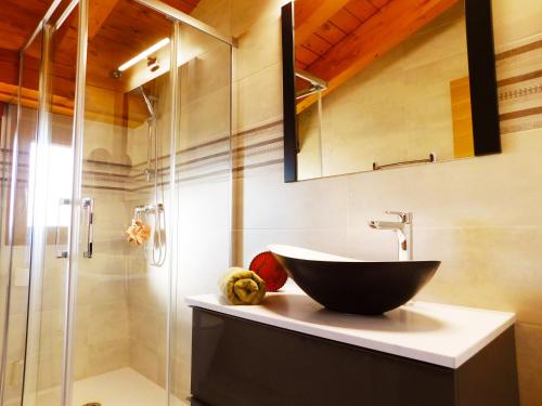 a bathroom with a sink and a glass shower at Apartamento Ribera del Duero Reserva in Tubilla del Lago