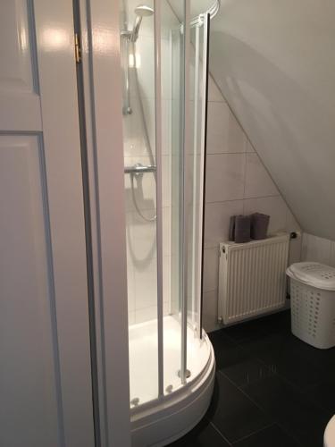 een badkamer met een douche en een glazen deur bij De Tuinkamer in Ter Apel