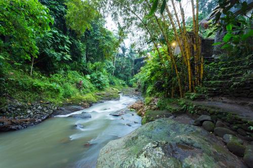 a river in the middle of a forest at Ani's Villas in Ubud
