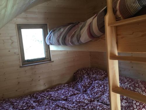 a bedroom with a bunk bed and a window at Brynllwyd Glamping in Devils Bridge