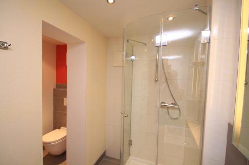 a bathroom with a shower and a toilet at Appartements Reiterhaus in Wagrain