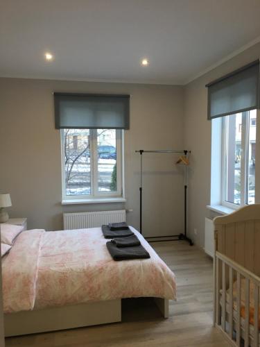 um quarto com uma cama e duas janelas em AV Apartment em Rezekne