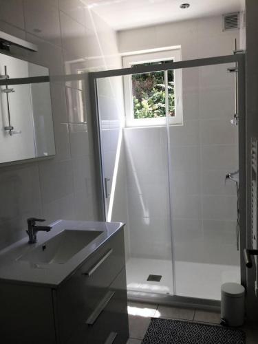 une salle de bain avec un lavabo et une douche avec une fenêtre dans l'établissement LA MAISON DE LA PLAGE BEG LEGUER, à Lannion