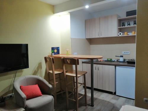 Η κουζίνα ή μικρή κουζίνα στο Apartment Matovic