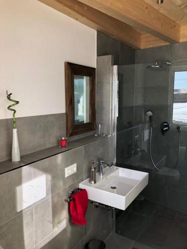 a bathroom with a white sink and a shower at Ferienhäuser Immenhöfe in Donaueschingen
